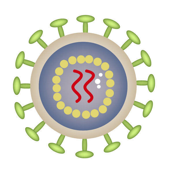 艾滋病是一种病还是一类病毒
