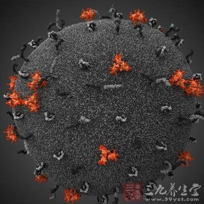 HIV-1有9个基因(gag、pol、vif、vpr、tat、rev、vpu、env、nef)